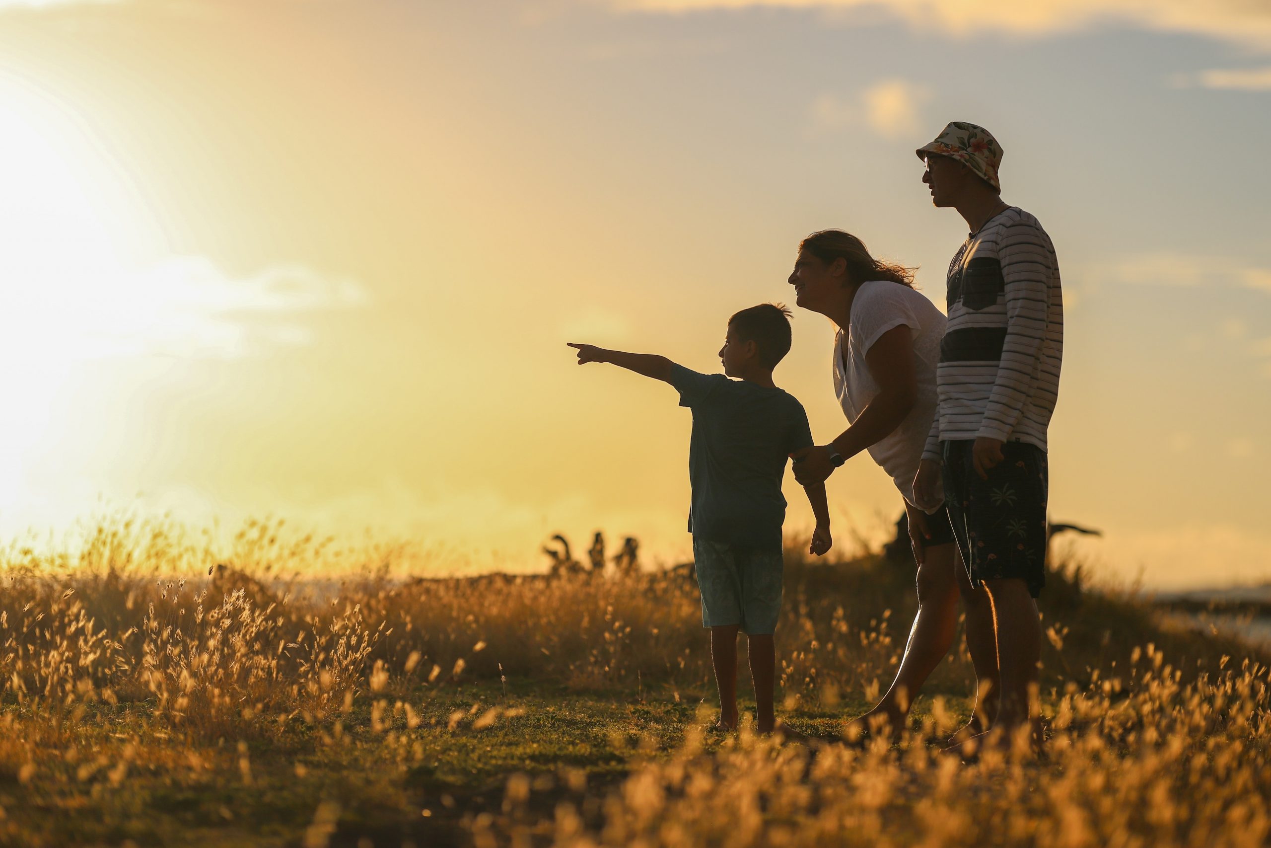 luemen-rutkowski-ZWbBxZ6zTwM-unsplash luemen-rutkowski-ZWbBxZ6zTwM-unsplash